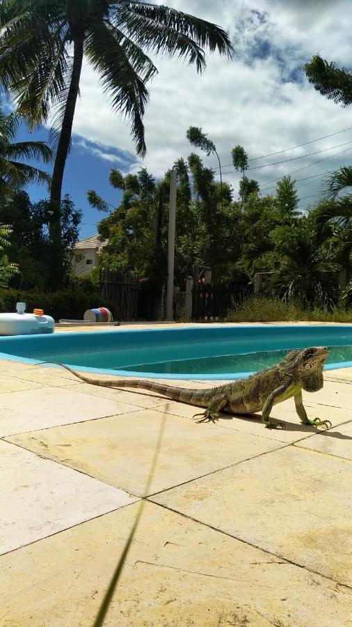 Hotel Pousada Eolos à Barra Grande  Extérieur photo